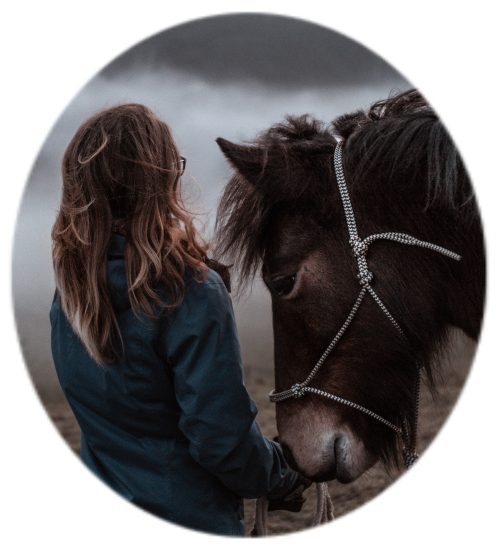 93721416_228029598639161_5090063770823163904_n