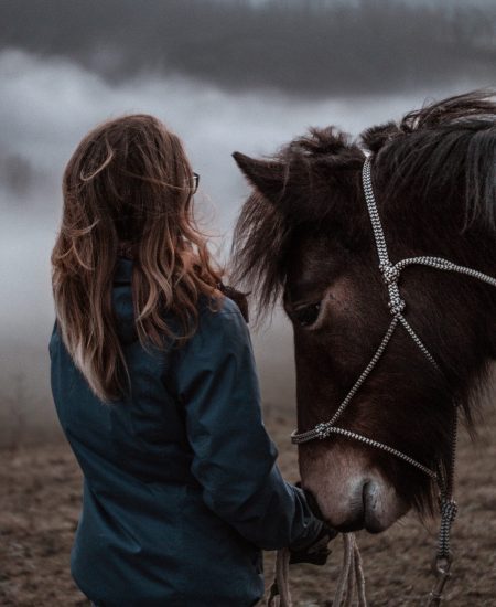 93721416_228029598639161_5090063770823163904_n